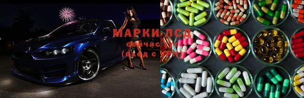 бошки Аркадак