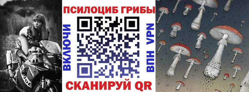 наркошоп Губаха Псилоцибиновые грибы Psilocybine cubensis
