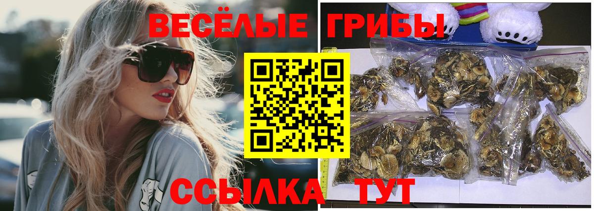 Псилоцибиновые грибы прущие грибы Губаха