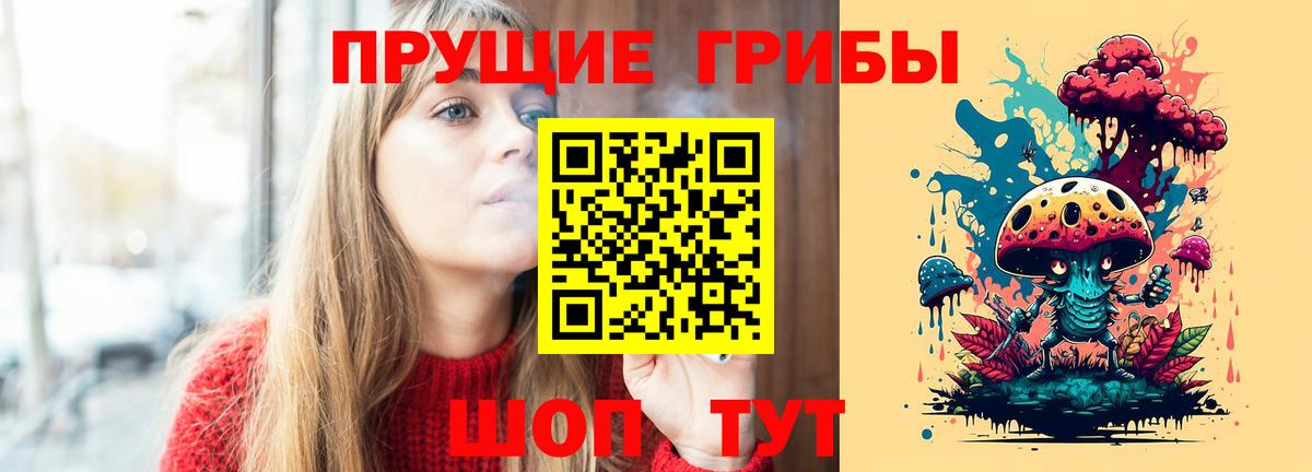 Губаха  Галлюциногенные грибы Cubensis  Галлюциногенные грибы Psilocybe  Вход с VPN 